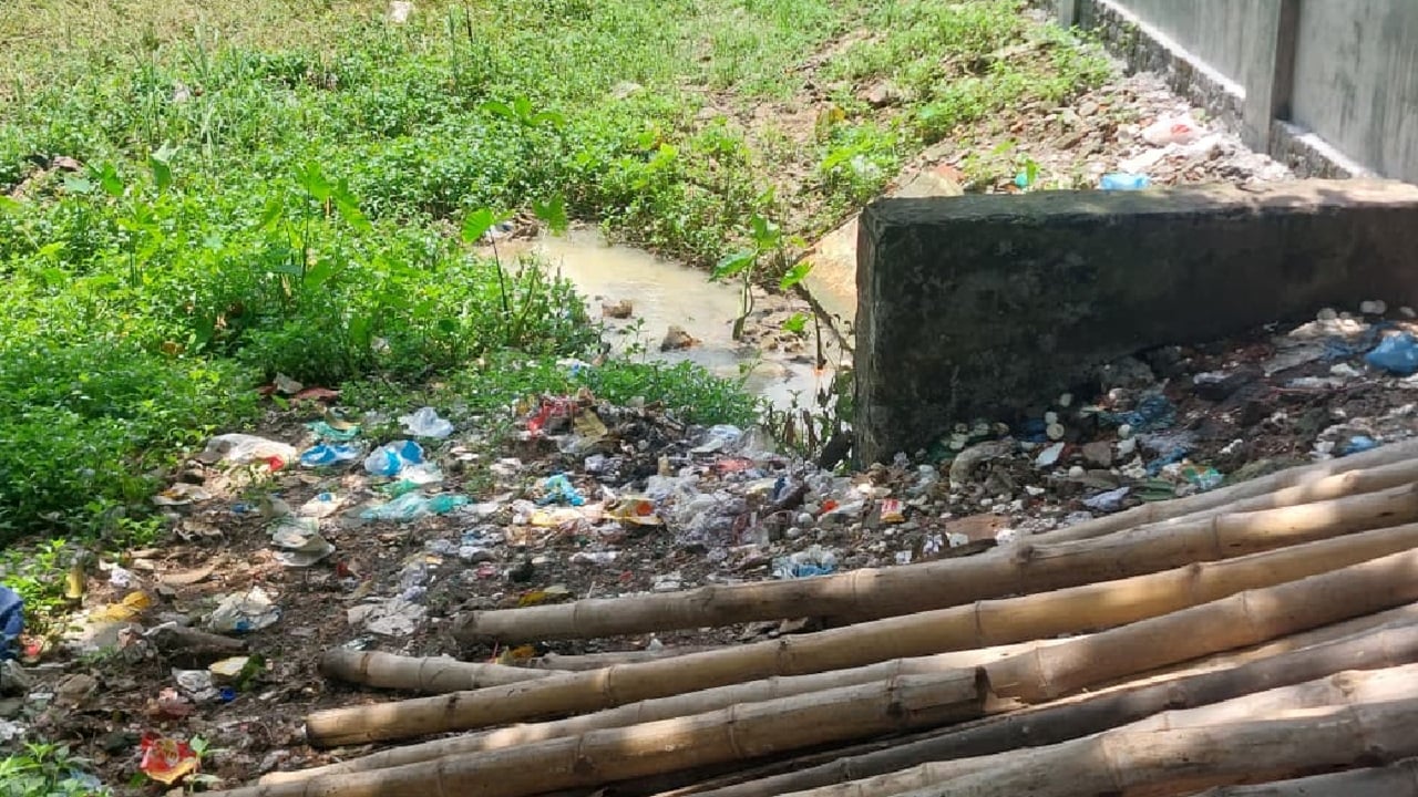 জাহাঙ্গীরনগর বিশ্ববিদ্যালয় 3