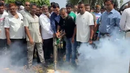 পাবনায় ডেঙ্গু প্রতিরোধে মশক নিধন ও পরিচ্ছন্নতা অভিযান
