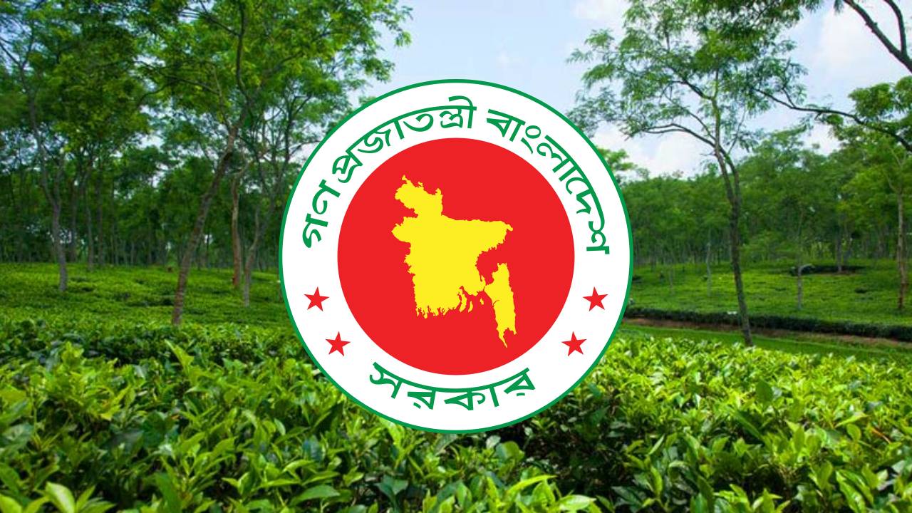 চা শিল্পের উন্নয়নে ১২ সদস্যের কমিটি, সভাপতি বাণিজ্যমন্ত্রী