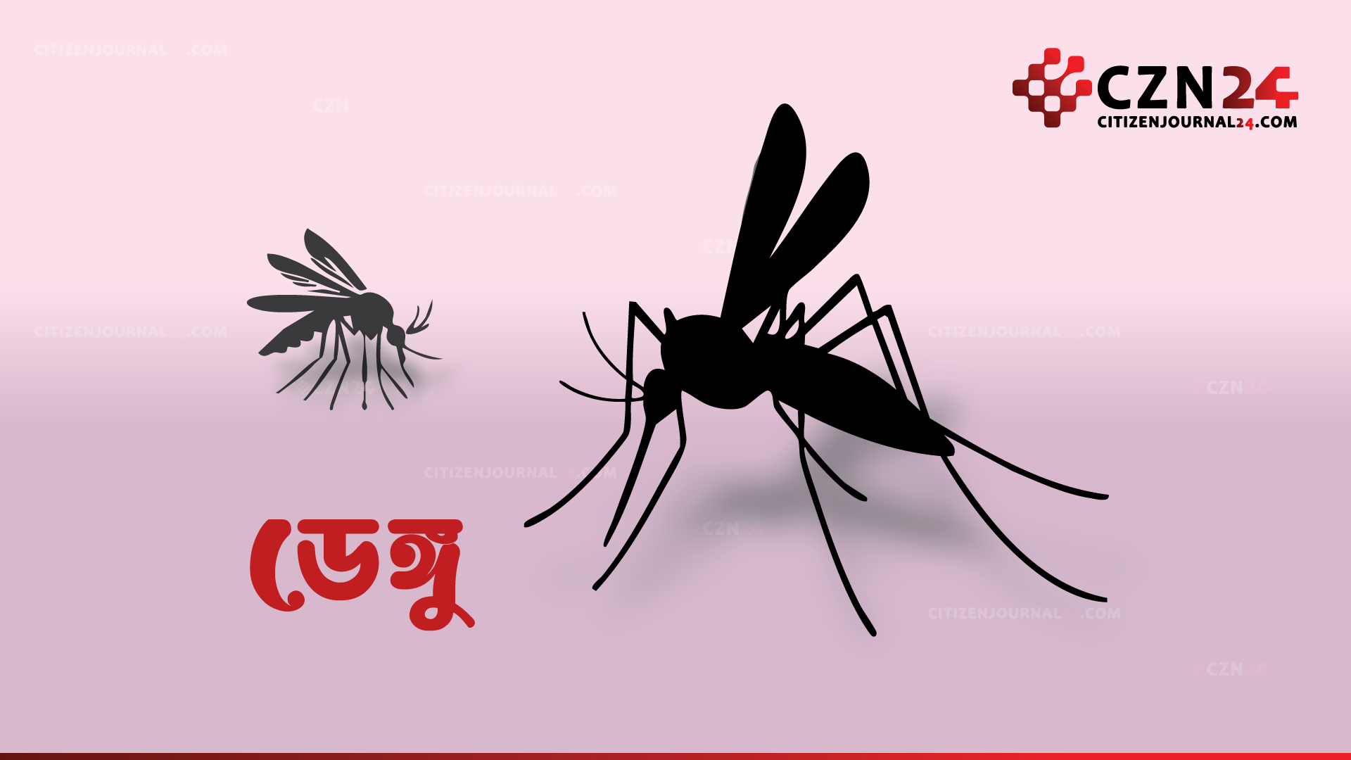 ডেঙ্গুতে আরও ৭ জনের মৃত্যু, সবাই ঢাকা দক্ষিণ সিটির হাসপাতালের