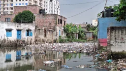 চোখের সামনে বিলের মতো খাল সরু নালা হয়ে গেল