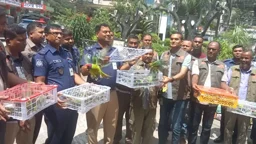 বাস থেকে ১০৩টি টিয়া পাখি উদ্ধার