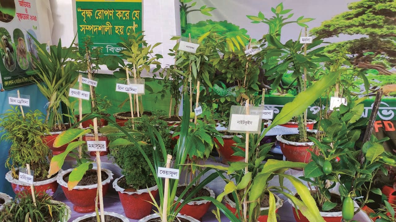 বৃক্ষমেলার স্টলে শোভা পাচ্ছে বিভিন্ন জাতের চারা