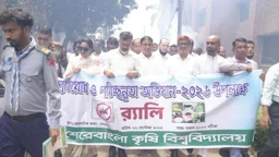 ৬০-৭০ শতাংশ এলাকায় লার্ভা, তবু ডেঙ্গু রোগী কম: ডিএনসিসি প্রশাসক