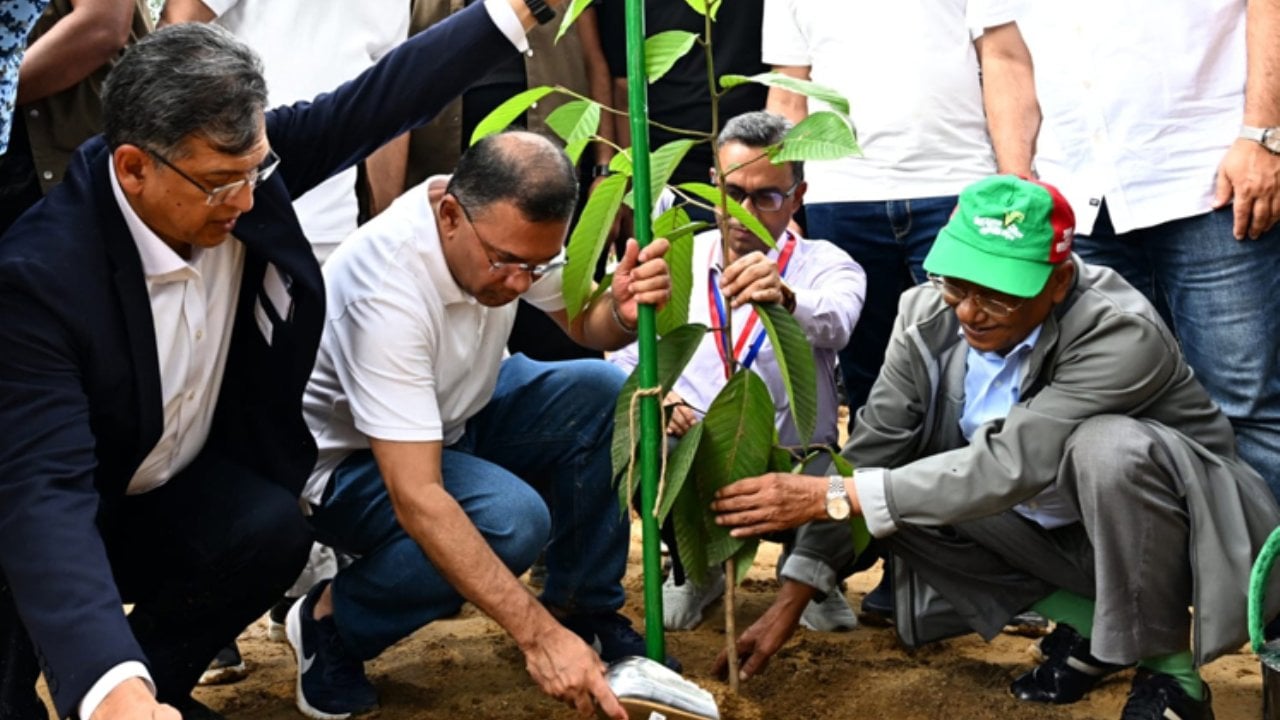 ২৫ কোটি বৃক্ষরোপণ কর্মসূচির উদ্বোধন করলেন প্রধানমন্ত্রী
