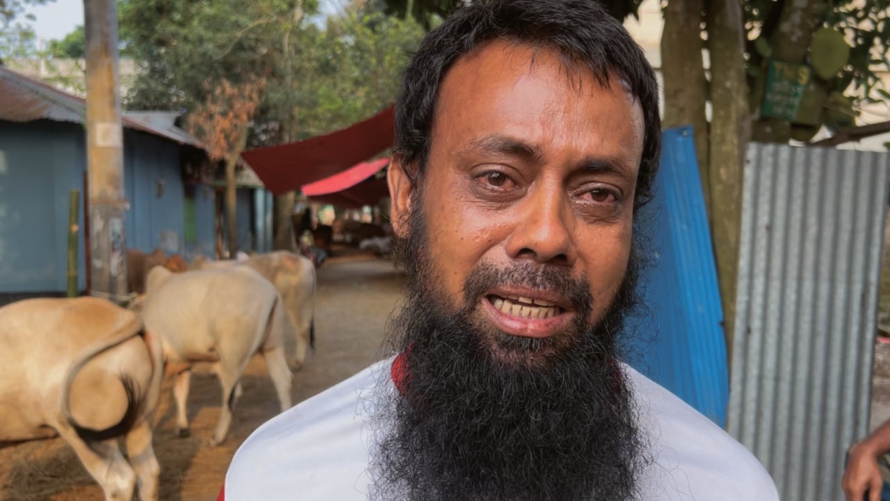 অস্ত্রের মুখে ব্যবসায়ীর গরু ছিনতাই