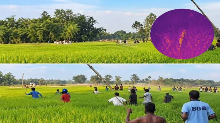 সীমান্তে বাঘের আক্রমণে আহত ৩, বিজিবির থার্মাল ক্যামেরা-ড্রোনে অবস্থান শনাক্ত
