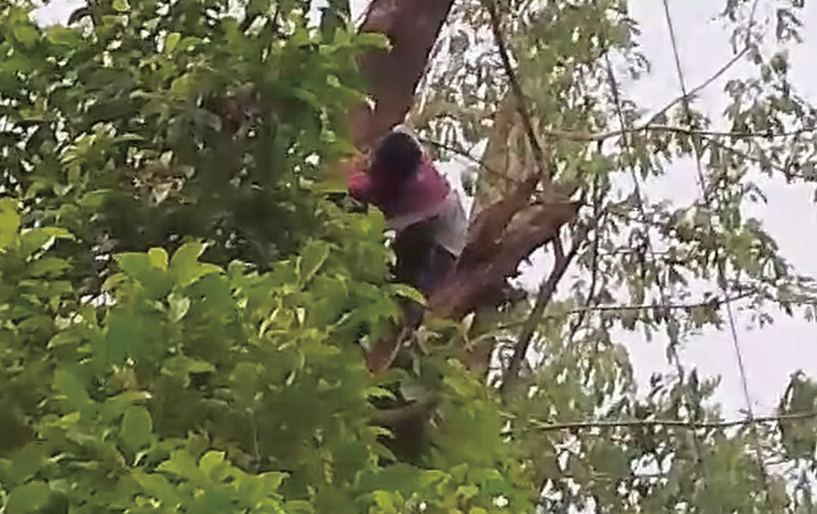 গাছের গর্তে আটকে গেলো কিশোরের হাত