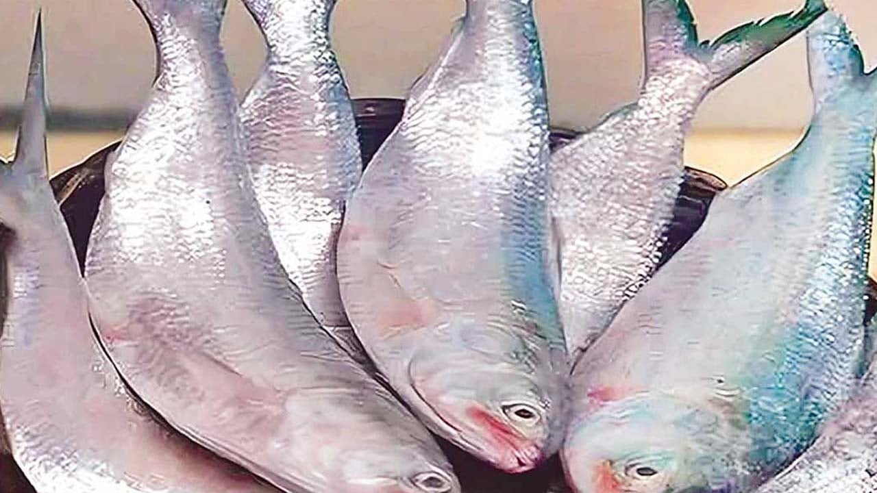ইলিশ কেনা এখন স্বপ্নের বিষয়