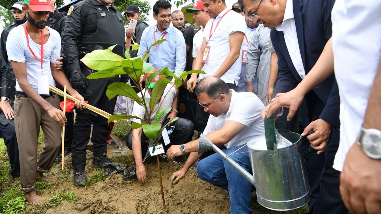 পাতলী খাল পাড়ে একটি কাঠ বাদামের চারা রোপণ করেন প্রধানমন্ত্রী তারেক রহমান