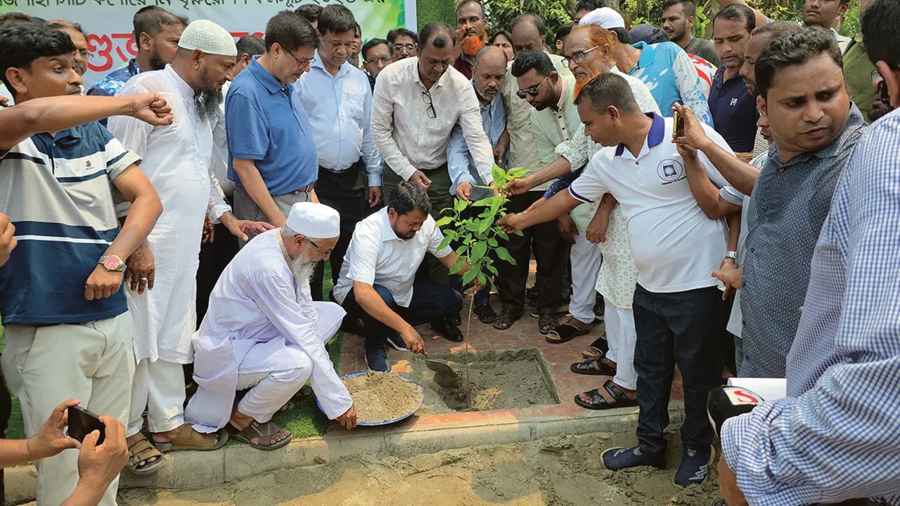 সবুজ রাজশাহী গড়তে আড়াই লাখ গাছ লাগানোর উদ্যোগ