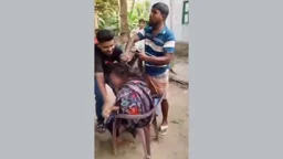 প্রবাসীর স্ত্রীর চুল কেটে ও গাছের সঙ্গে বেঁধে নির্যাতন, ভিডিও ভাইরাল