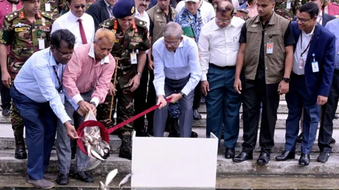 বঙ্গভবনের সিংহ পুকুরে মাছের পোনা অবমুক্ত করলেন রাষ্ট্রপতি