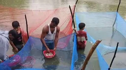 পোনা বিক্রেতা থেকে ১৭ খামারের মালিক আবদুল আজিজ