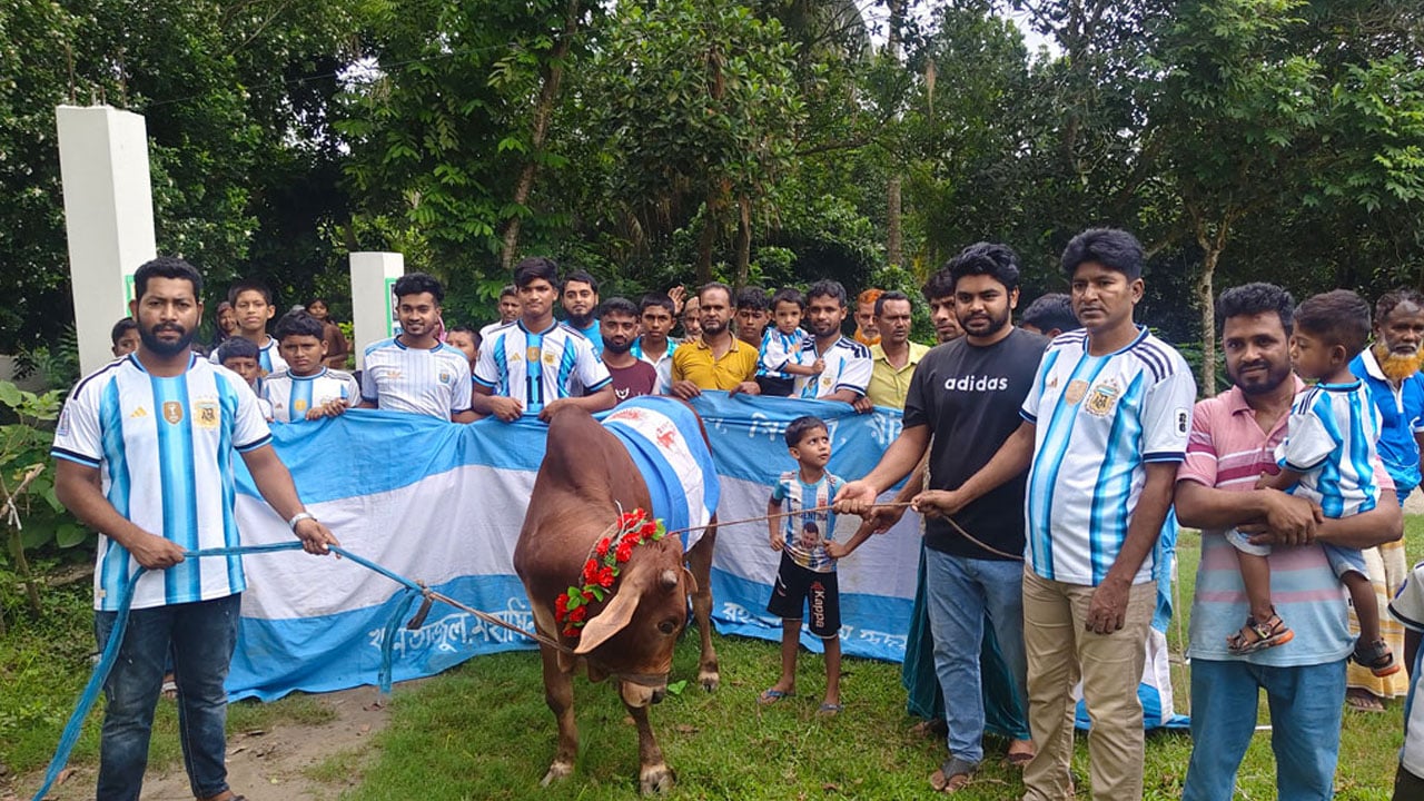 কোটালীপাড়ায় আর্জেন্টিনা সমর্থকদের গরু জবাই করে ভুরিভোজ