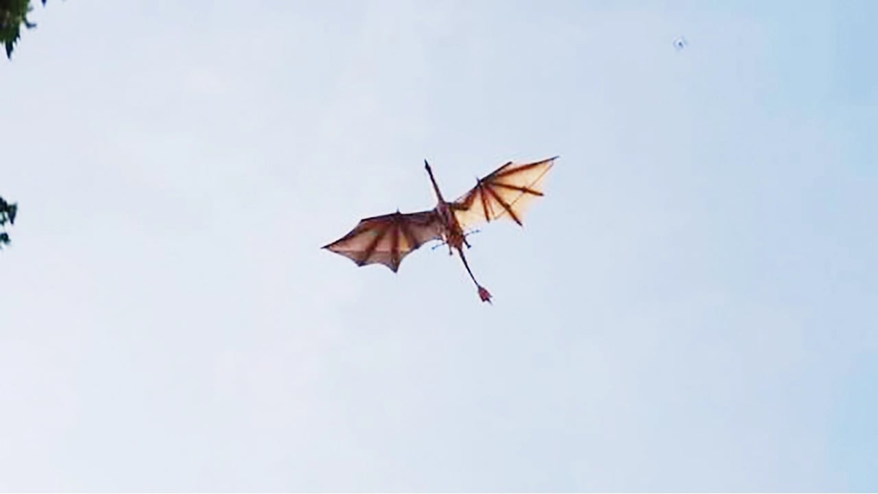 আকাশে দেখা গেলো উড়ন্ত ড্রাগন