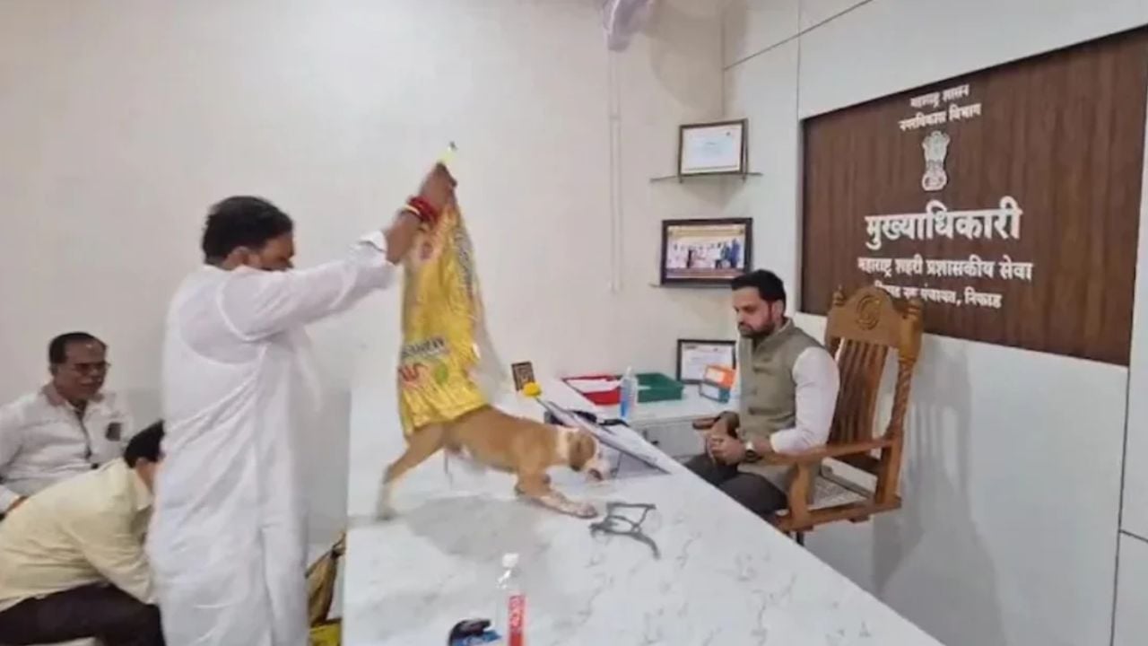 কুকুরের উৎপাতে নেই ব্যবস্থা, কর্মকর্তার টেবিলে কুকুর ছেড়ে দিয়ে প্রতিবাদ