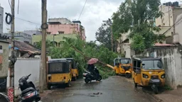 ঘূর্ণিঝড় অর্ণবের তাণ্ডবে ভারতে ৫ জন নিহত
