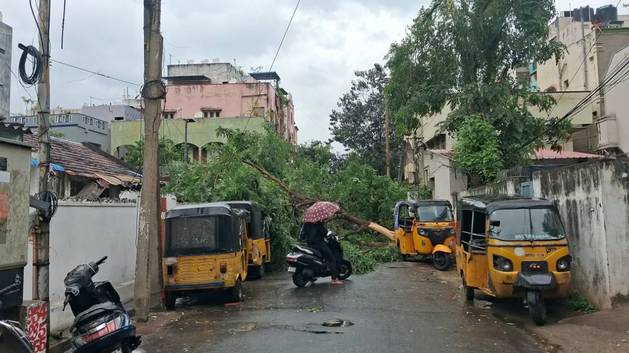 ঘূর্ণিঝড় অর্ণবের তাণ্ডবে ভারতে ৫ জন নিহত