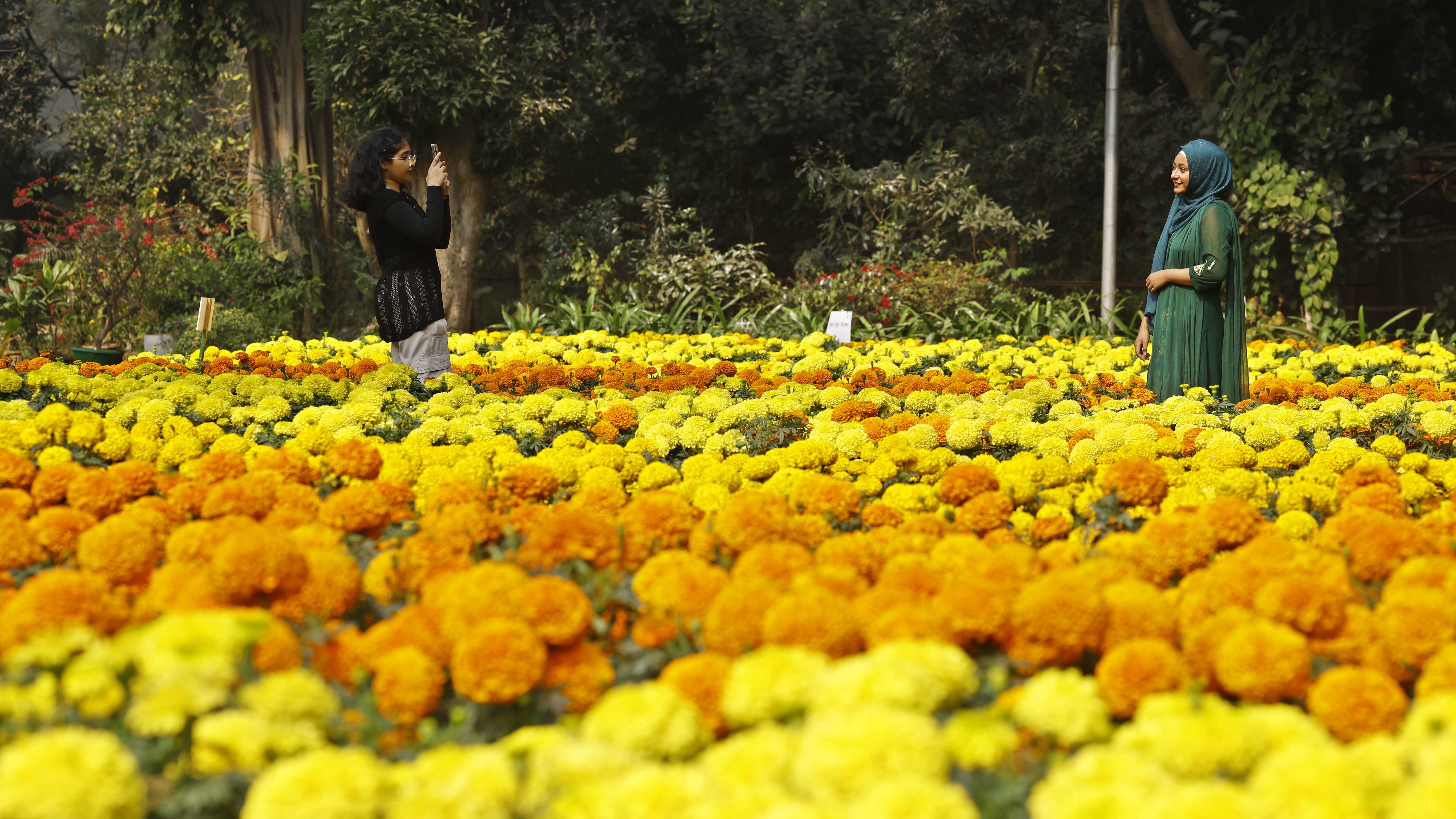 সকল বয়সী নারী পুরুষ ভীড় জমান ফুল উৎসবে