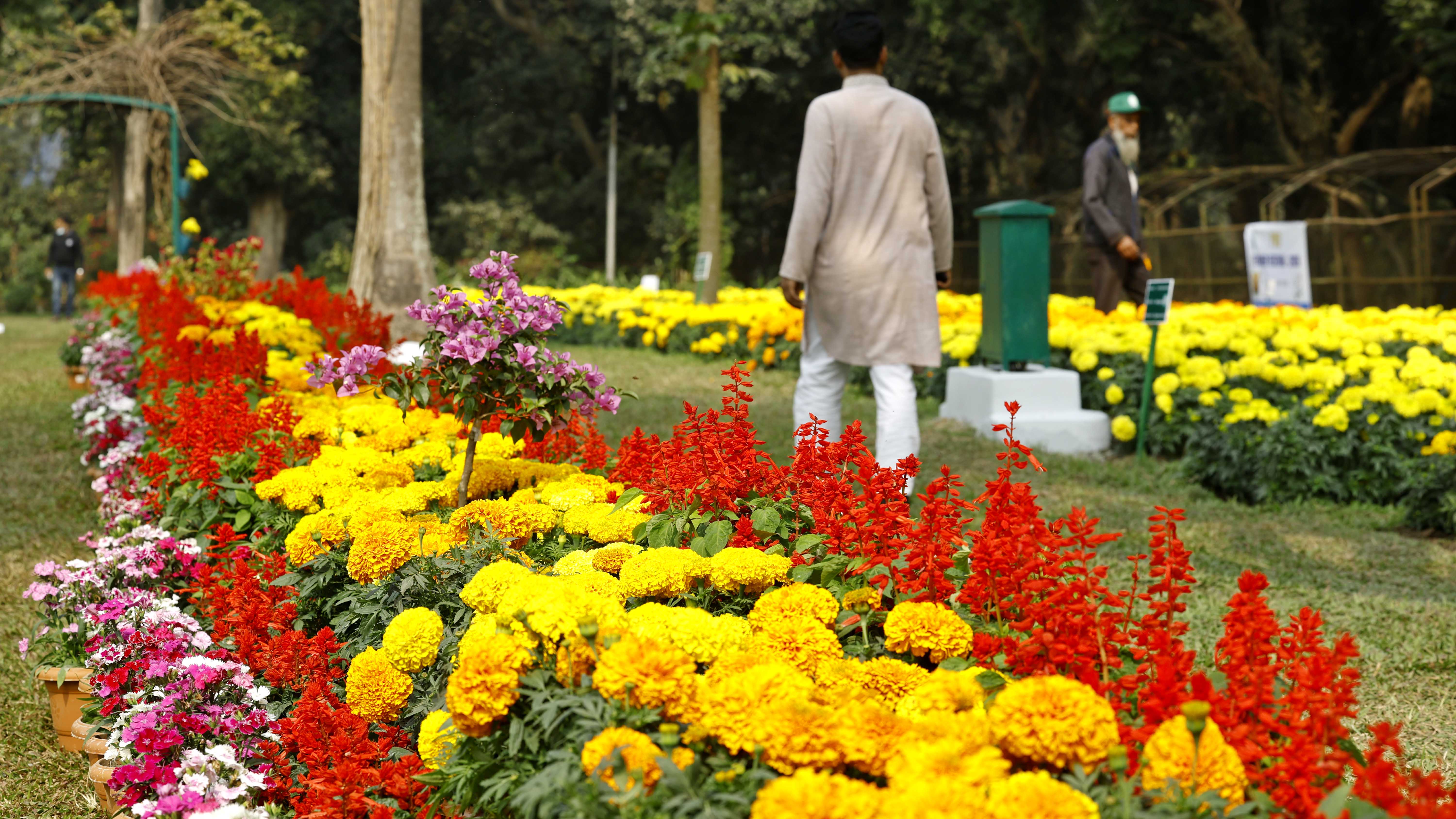 দেশি-বিদেশি নানা রকম ফুল স্থান পেয়েছে উৎসবে