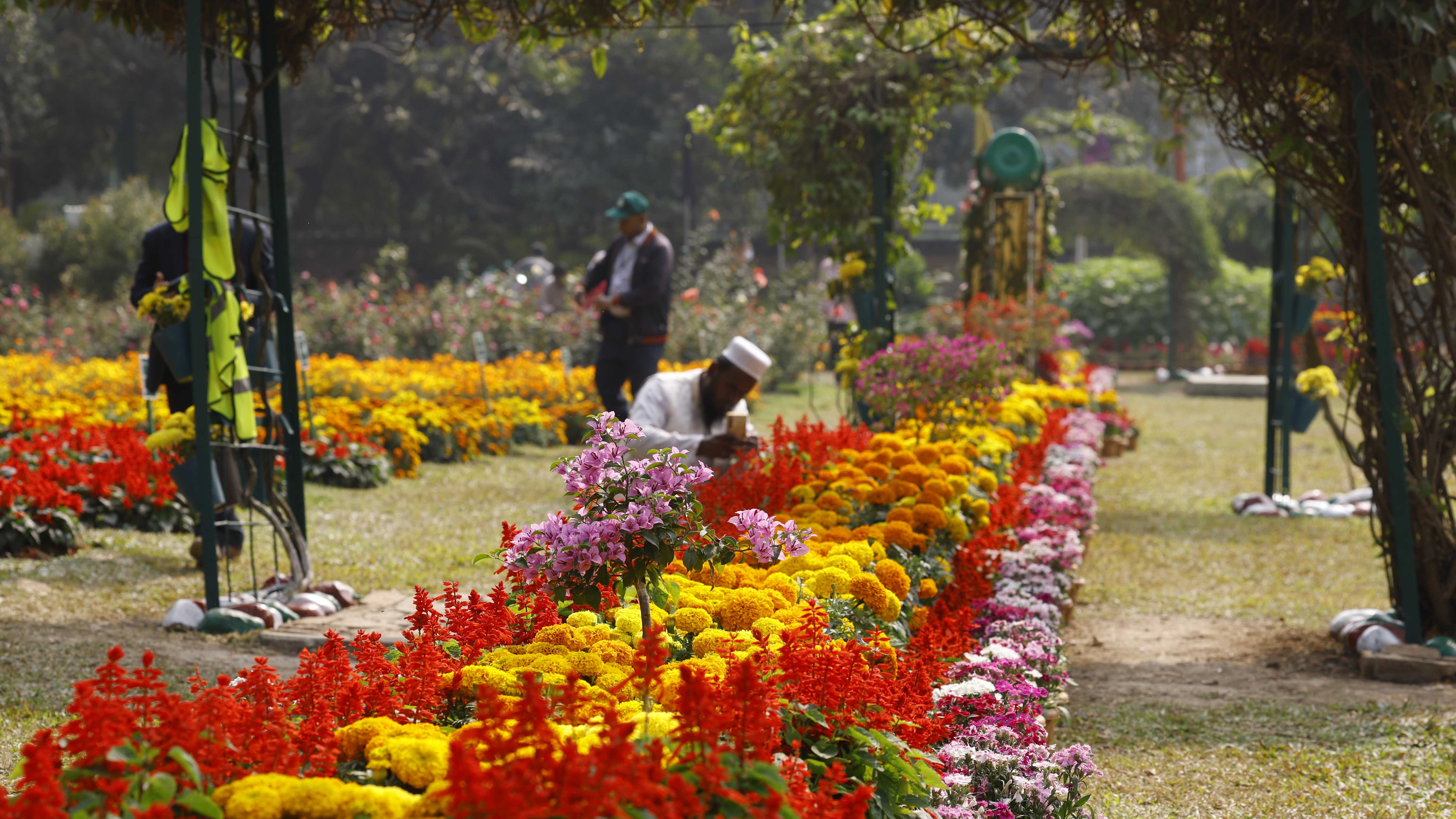 ইট পাথরের শহরে এই আয়োজন মন কেড়েছে দর্শনার্থীদের