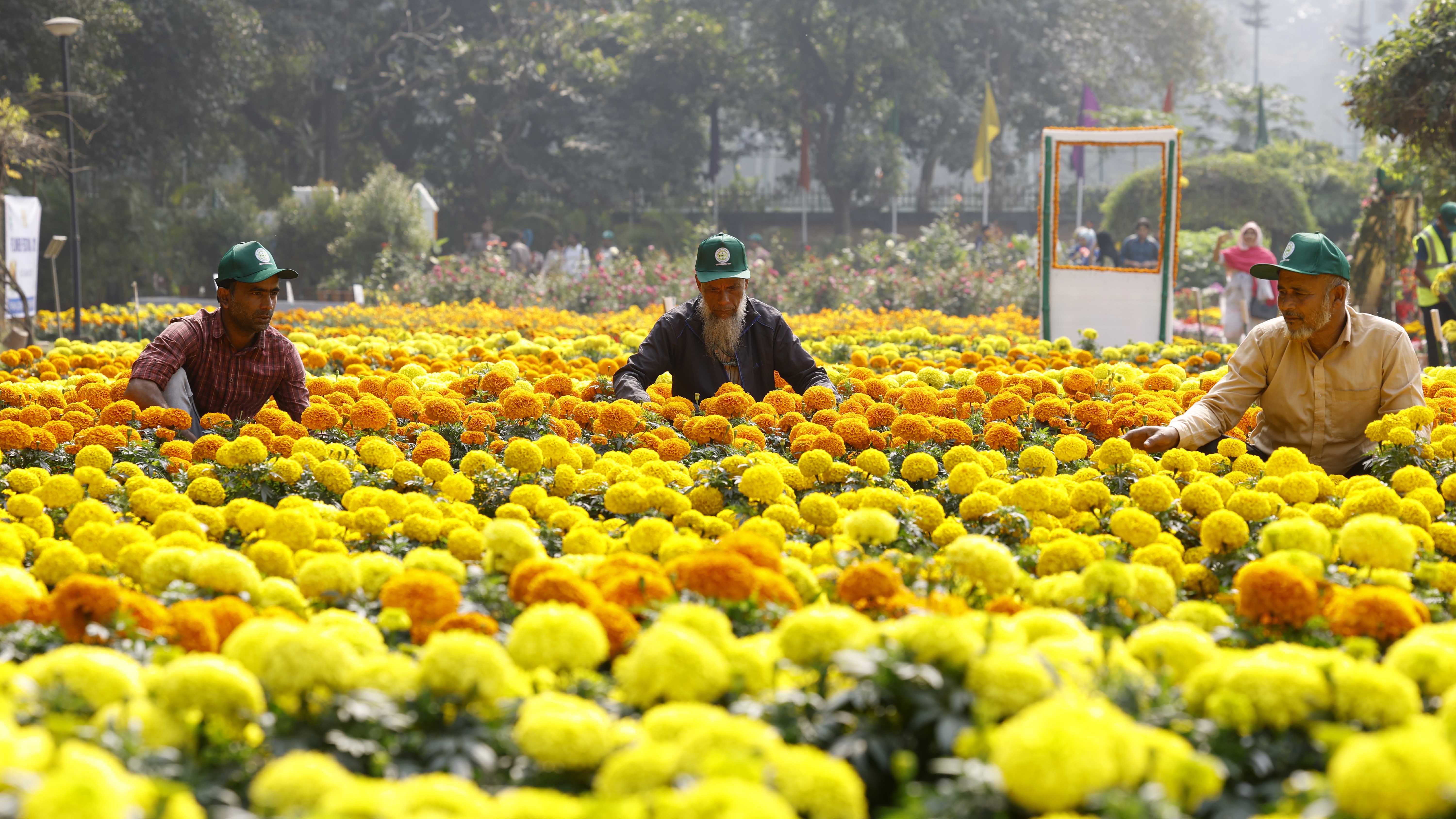 পরিচর্যার জন্য রাখা হয়েছে কর্মী