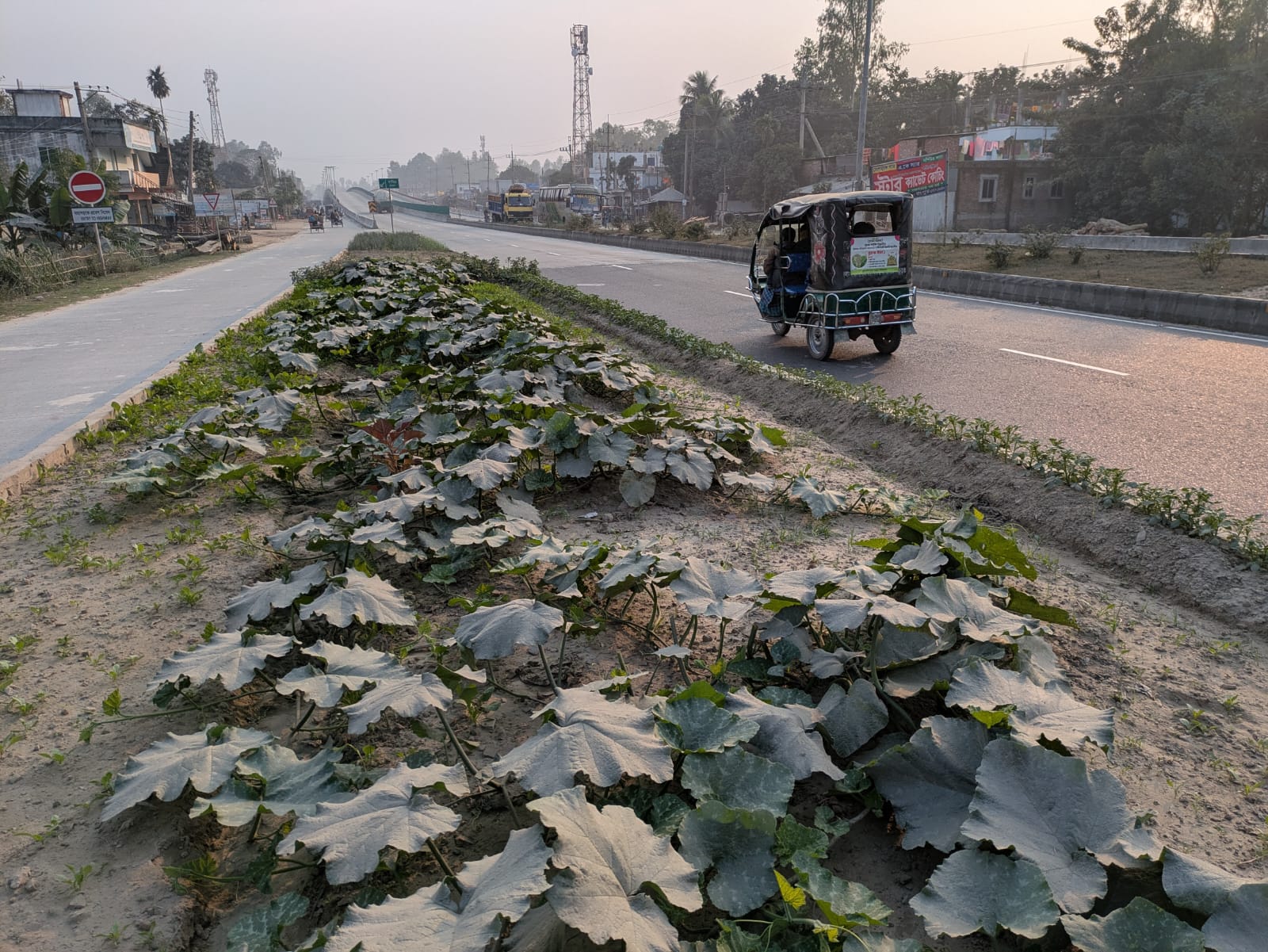 Gaibandha photo 4.