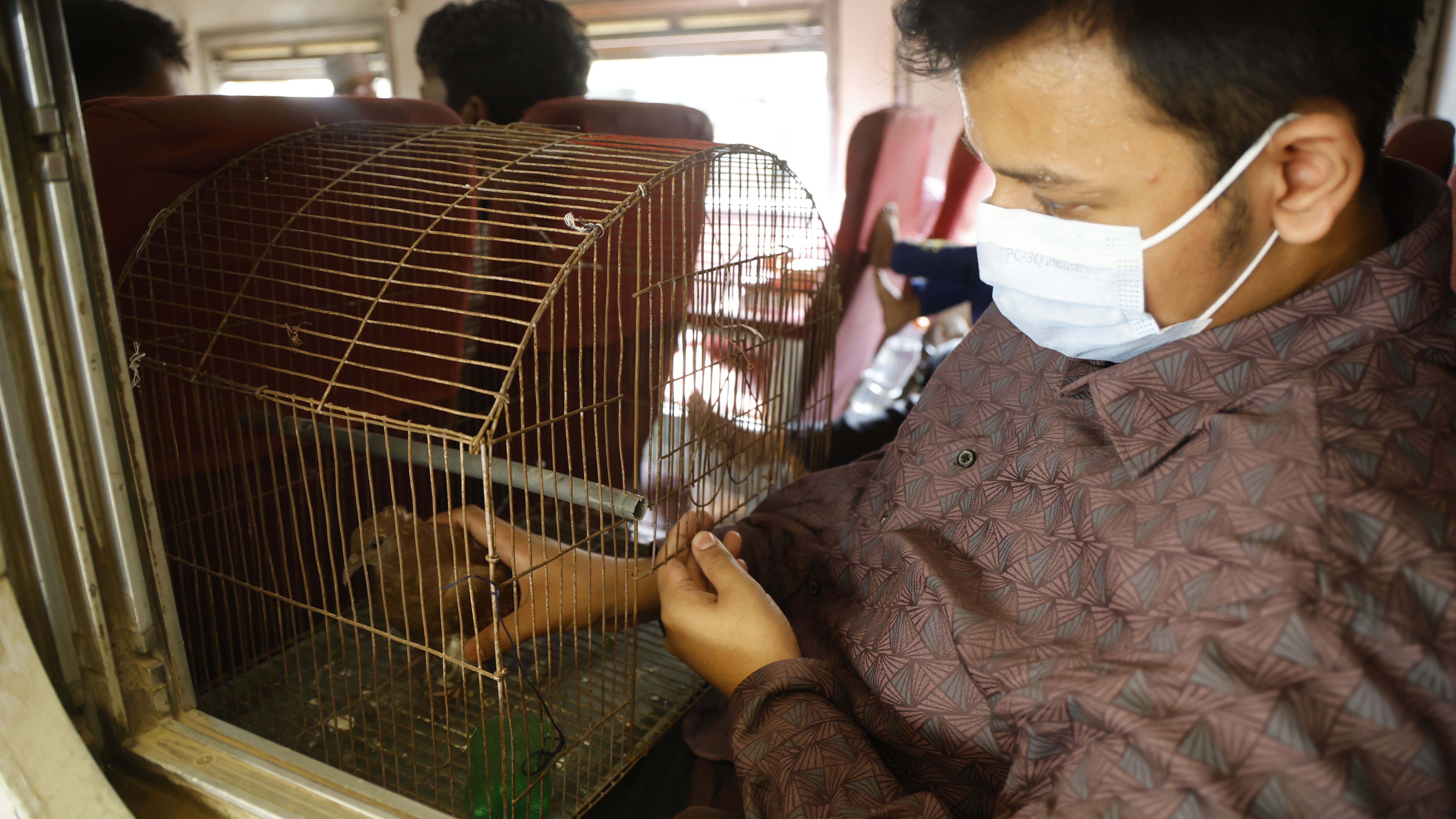 ঈদের ছুটিতে শখের পাখিও সঙ্গে নিয়ে যাচ্ছেন