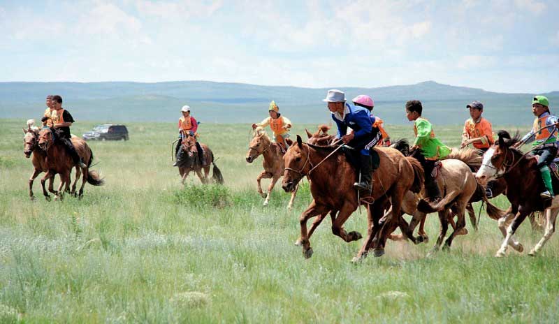 Naadam-local-horse