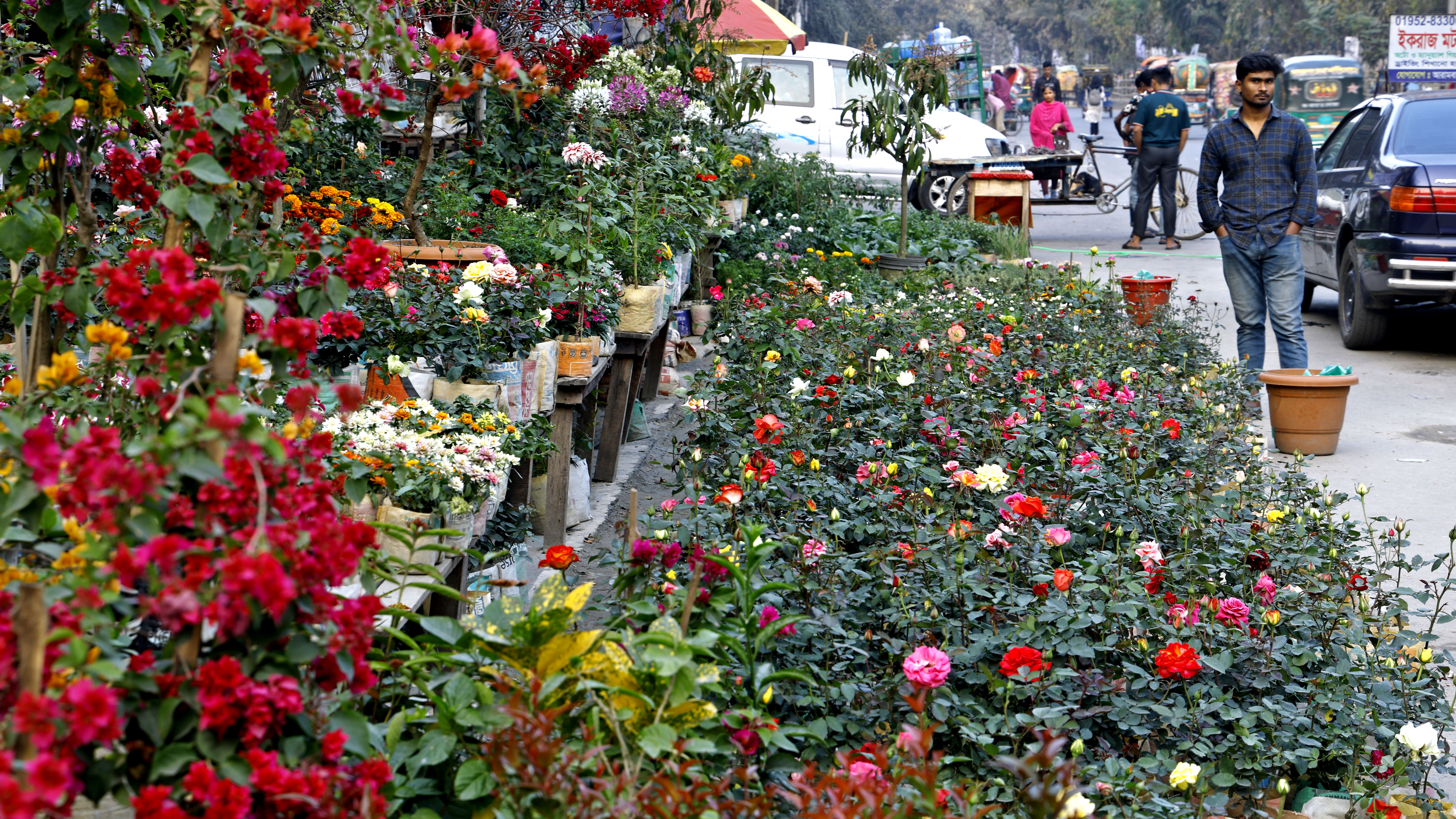 ধুলো-ধোঁয়ার ভিড়ে প্রাণ ফেরাচ্ছে রাস্তার পাশের নার্সারি