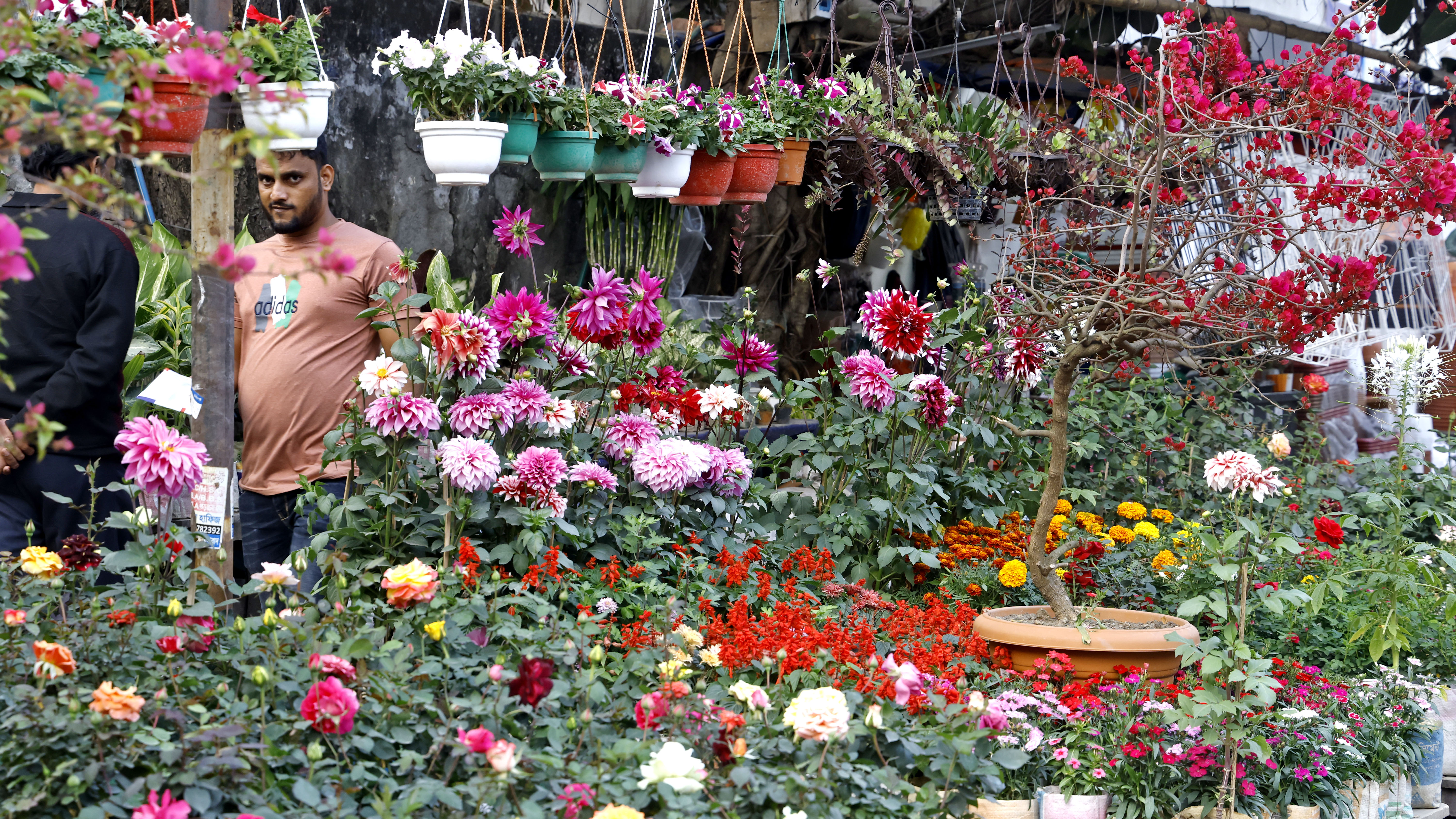 ফুটপাথজুড়ে ঝুলন্ত টব আর মাটির টবে সাজানো রঙিন ফুল— পথচলতি মানুষকে এক মুহূর্ত থামিয়ে দিচ্ছে এই সবুজ আয়োজন।