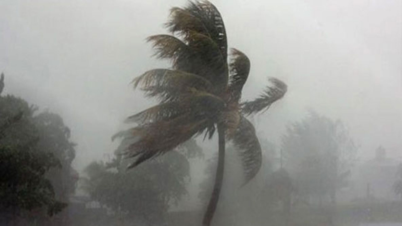 ঢাকাসহ ১০ জেলায় ৮০ কিলোমিটার বেগে ঝড়ের শঙ্কা