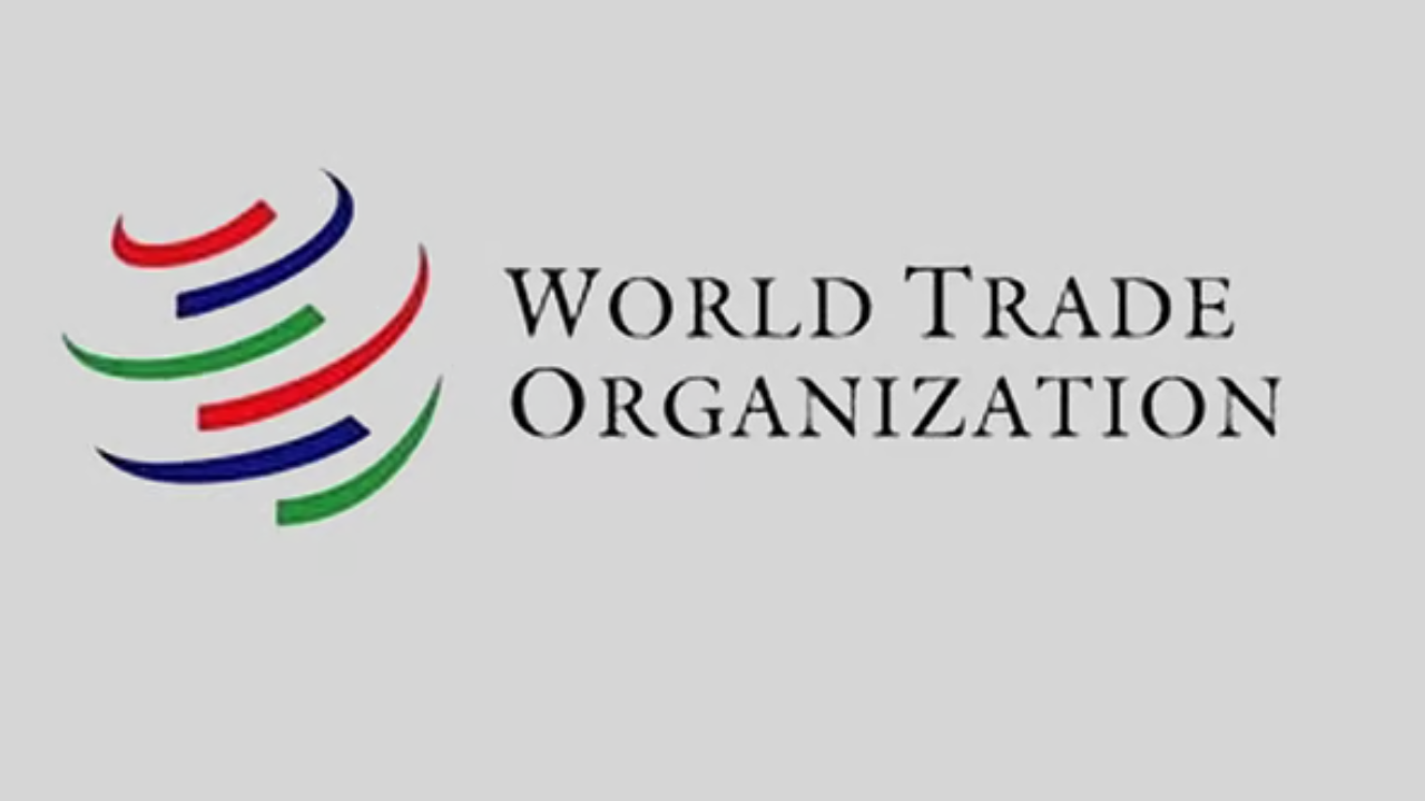 মধ্যপ্রাচ্যের যুদ্ধ বিশ্ব খাদ্য নিরাপত্তার জন্য হুমকি: ডব্লিউটিও