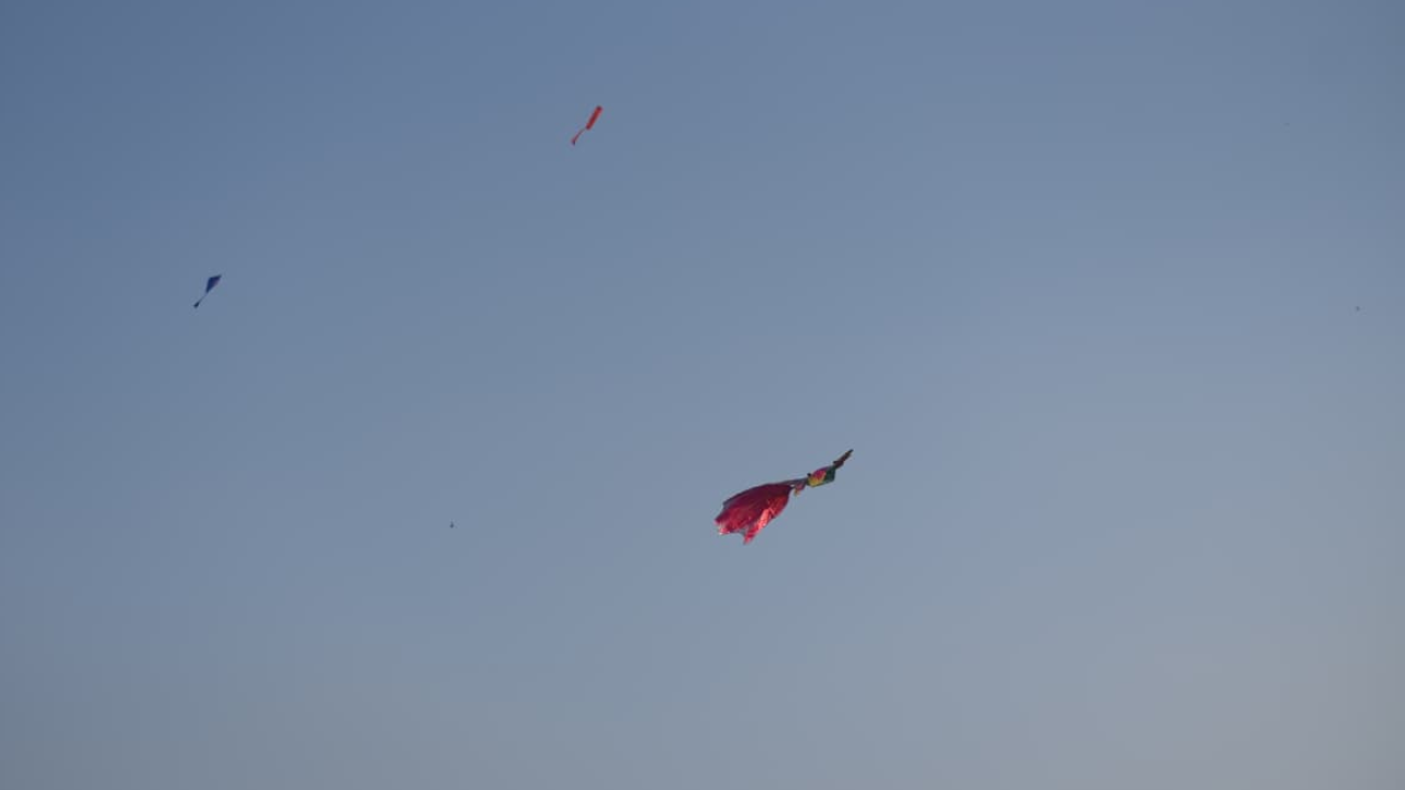 আকাশে উড়ছে নানা রংয়ের ঘুড়ি