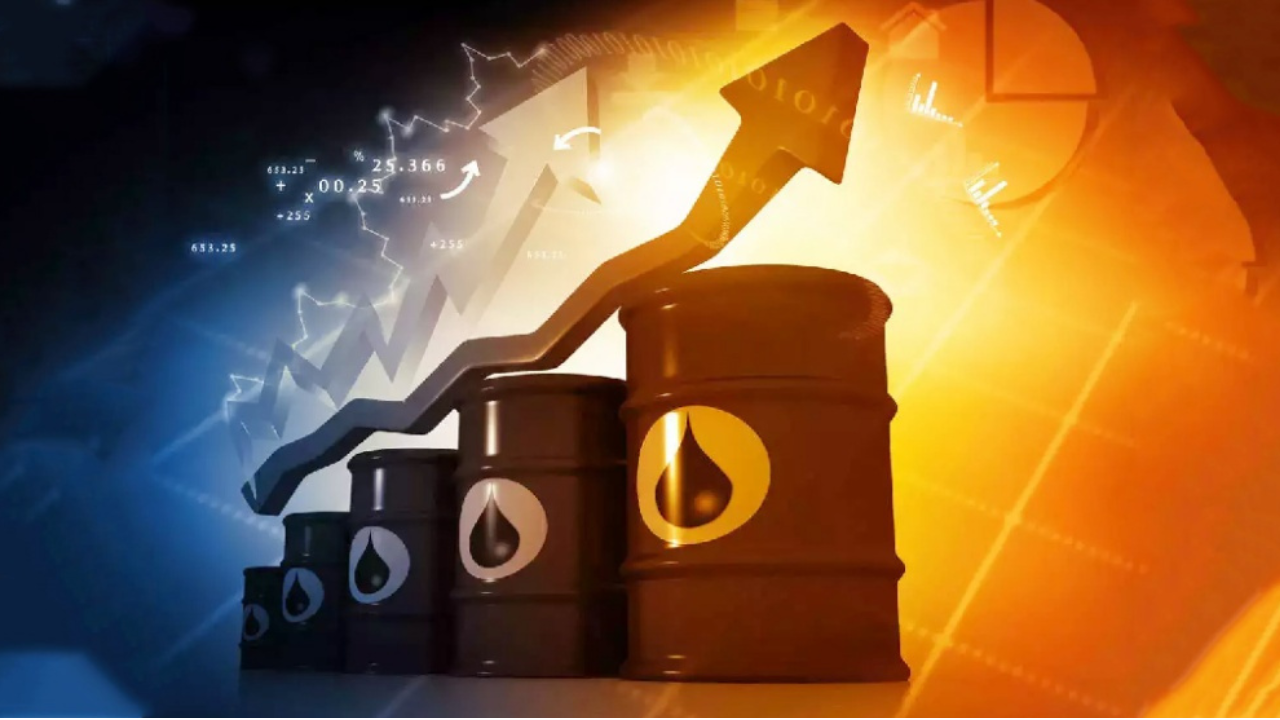 জ্বালানির দাম বাড়লে জিডিপি কমতে পারে : সানেম