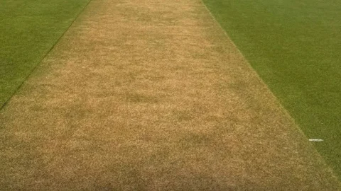 ‘খুব ভালো’ রেটিং পাচ্ছে ম্যাকাইয়ের পিচ