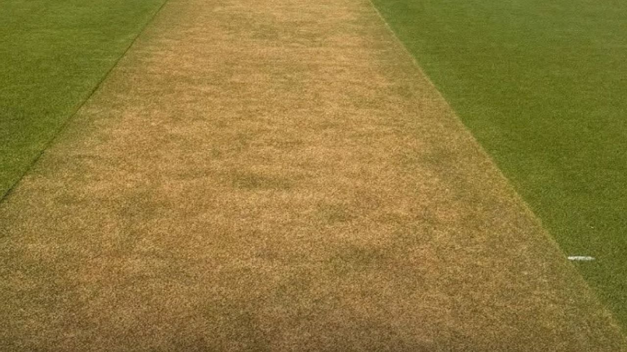 ‘খুব ভালো’ রেটিং পাচ্ছে ম্যাকাইয়ের পিচ