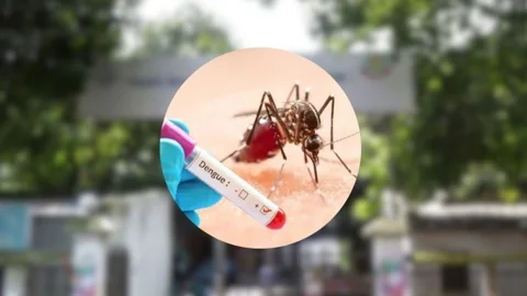 ডেঙ্গুতে মৃত্যু ও শনাক্তে নতুন রেকর্ড