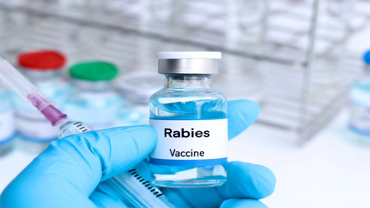 Vaccine - 1