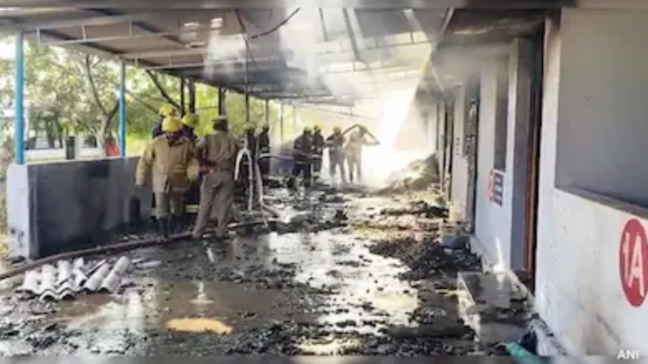 ভারতে আতশবাজি কারখানায় বিস্ফোরণ, নিহত ২০