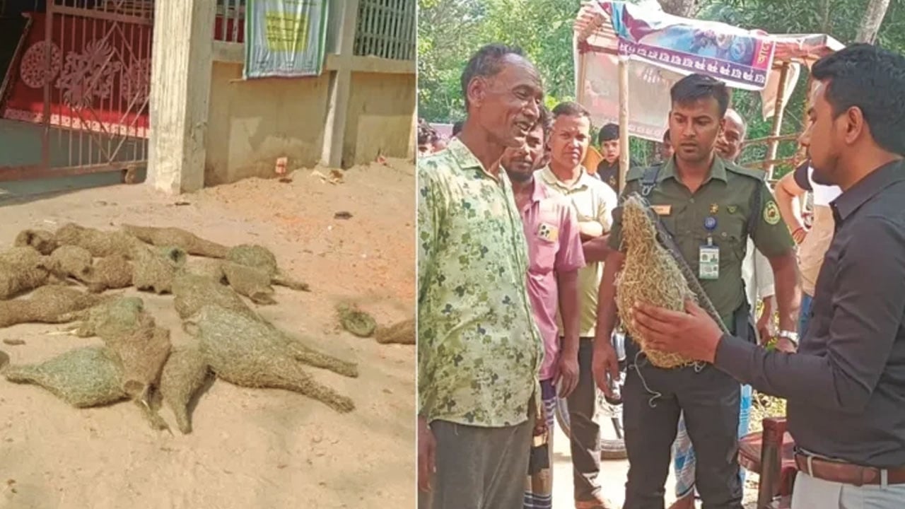 বাবুই পাখির বাসা কেটে ছানা হত্যায় বৃদ্ধের কারাদণ্ড