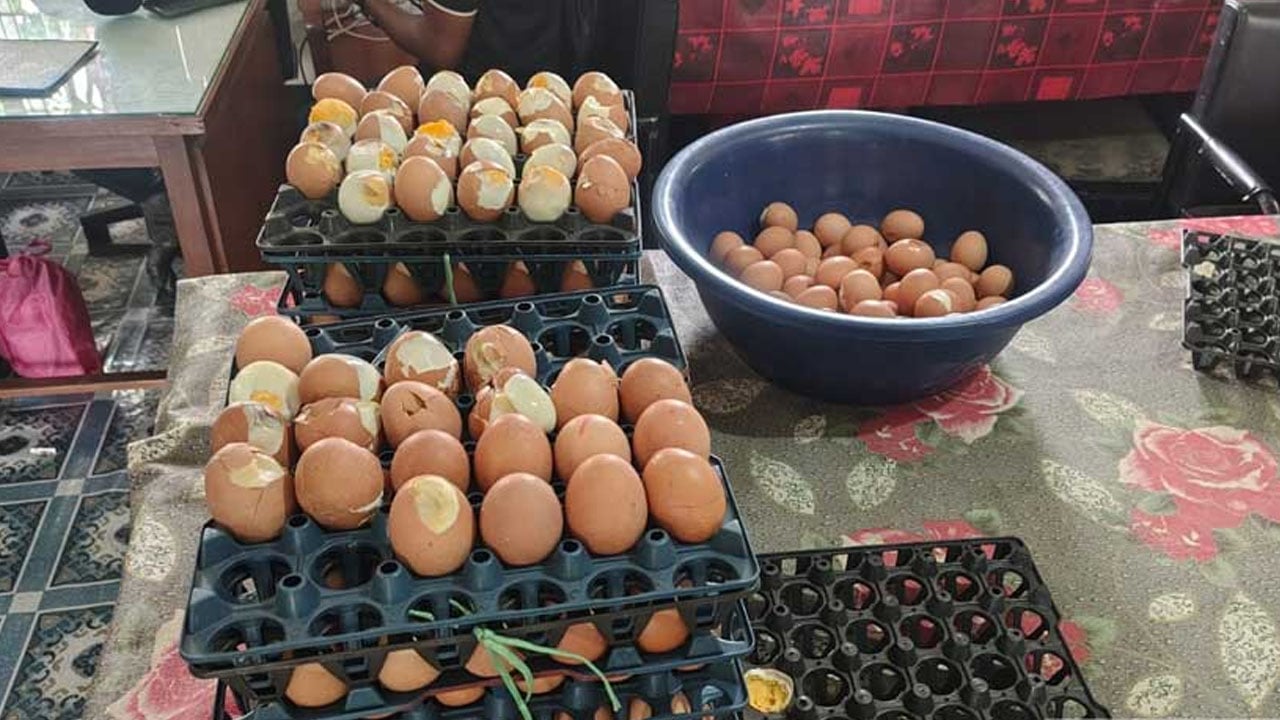 বিদ্যালয়ে মিড-ডে মিলে পচা ডিম