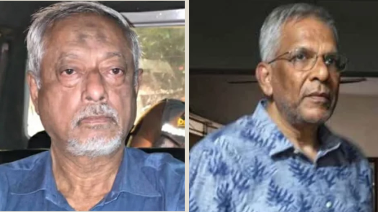 মানবতাবিরোধী অপরাধের মামলায় আসামি হচ্ছেন মাসুদ-মামুন