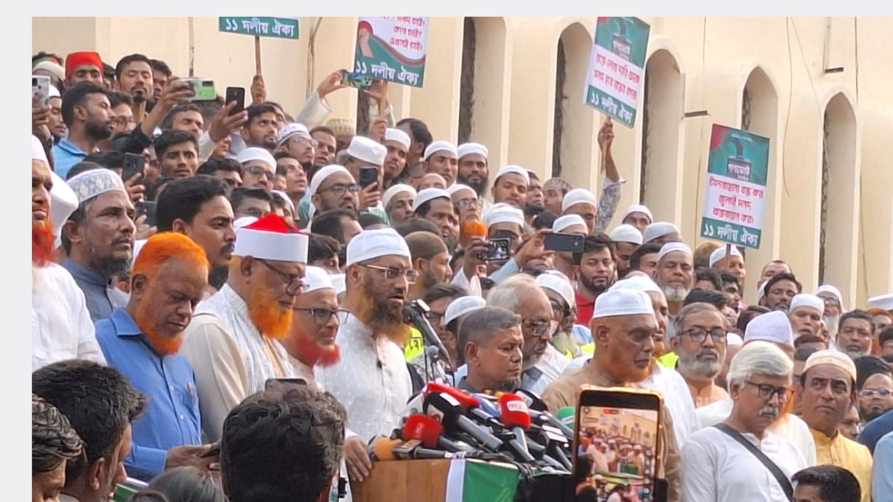 বিএনপি সুবিধাবাদ ও মুনাফেকির রাজনীতি করছে: মামুনুল হক