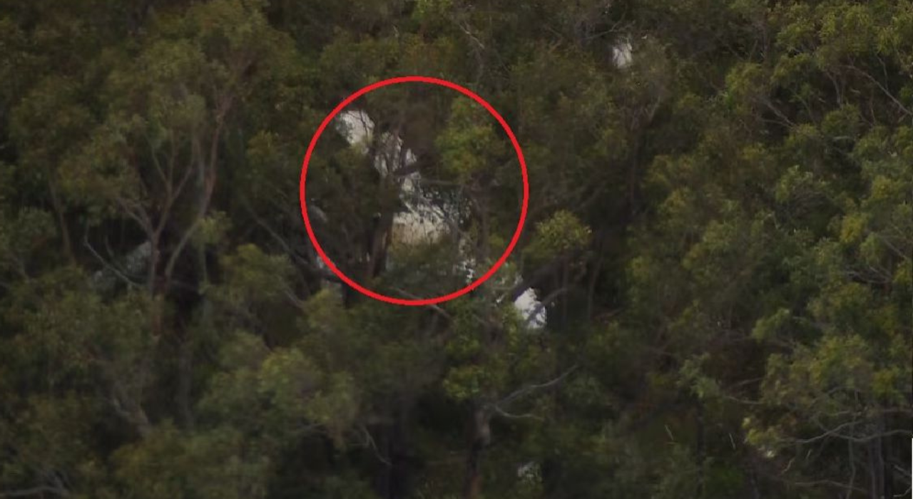 মাঝ আকাশে দুই বিমানের সংঘর্ষ