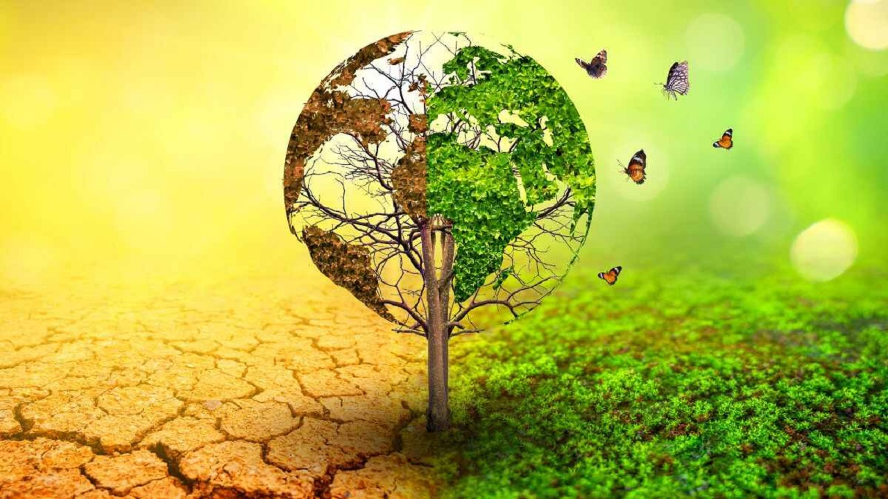 বিশ্ব ধরিত্রী দিবস আজ