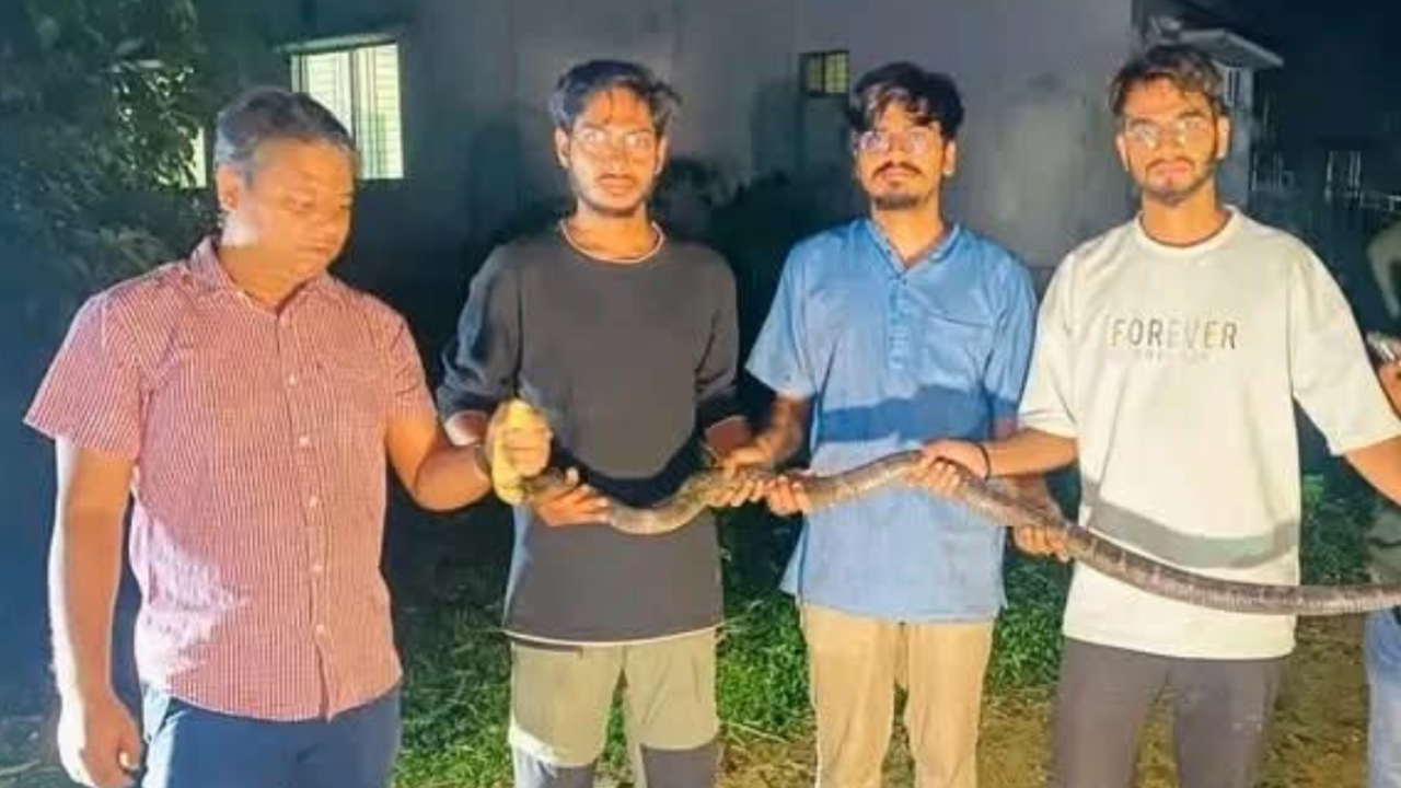 চবিতে ৮ ফুট লম্বা কিং কোবরা উদ্ধার