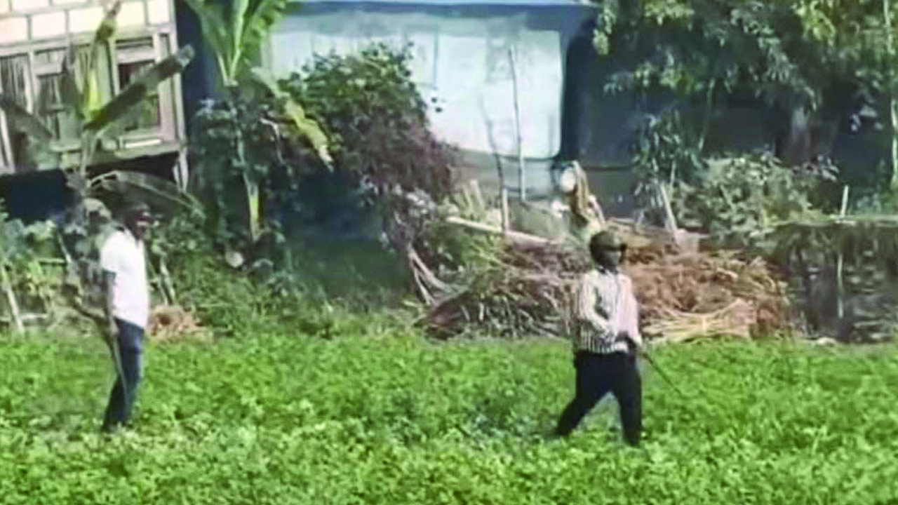 মুন্সিগঞ্জে বিএনপি ও স্বতন্ত্র প্রার্থীর সমর্থকদের সংঘর্ষ, গুলিবিদ্ধ ২