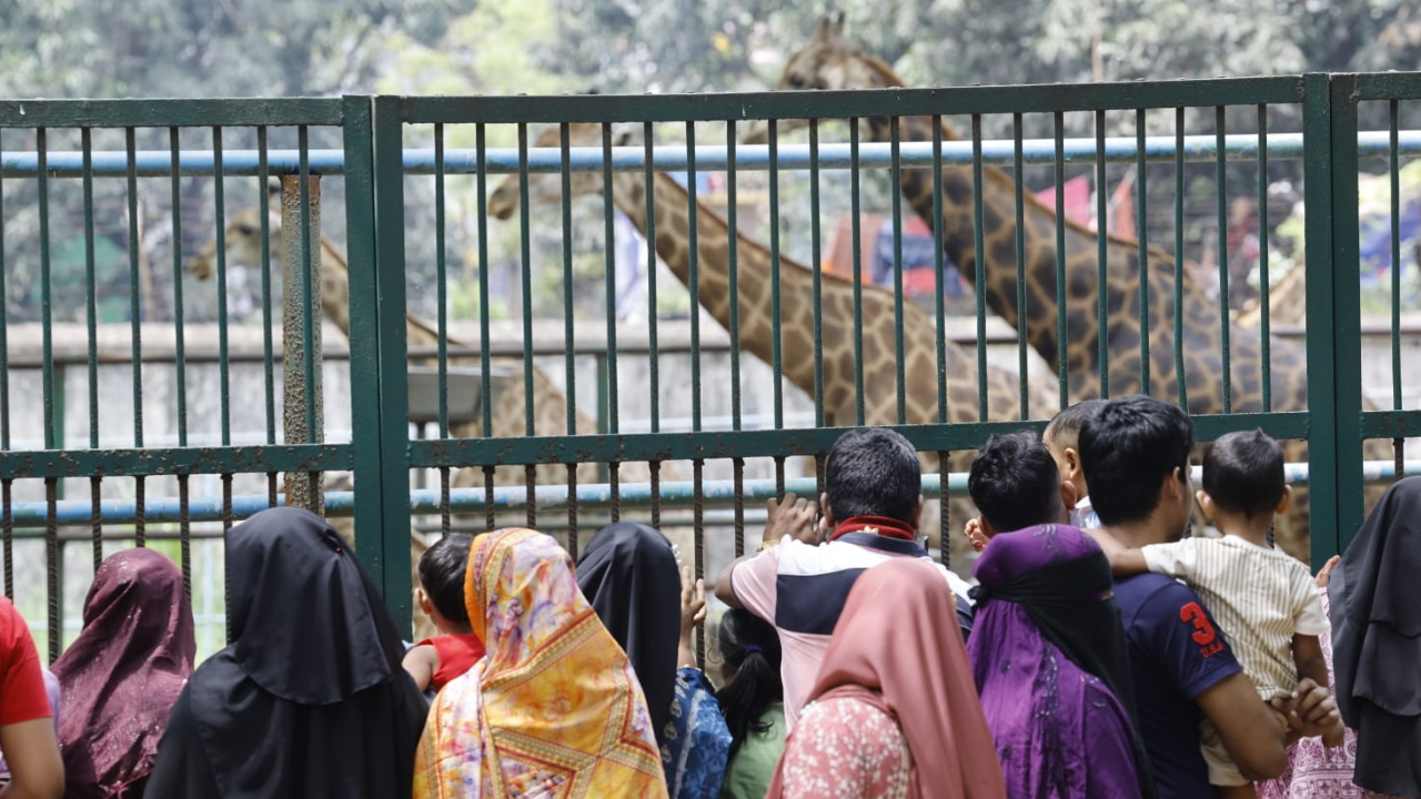 ঈদ ঘিরে চিড়িয়াখানায় জনস্রোত